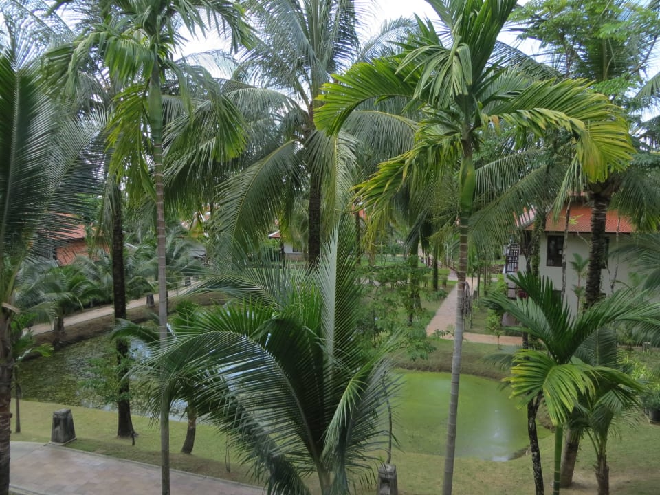 Ausblick vom Zimmer 928 Khaolak Laguna Resort