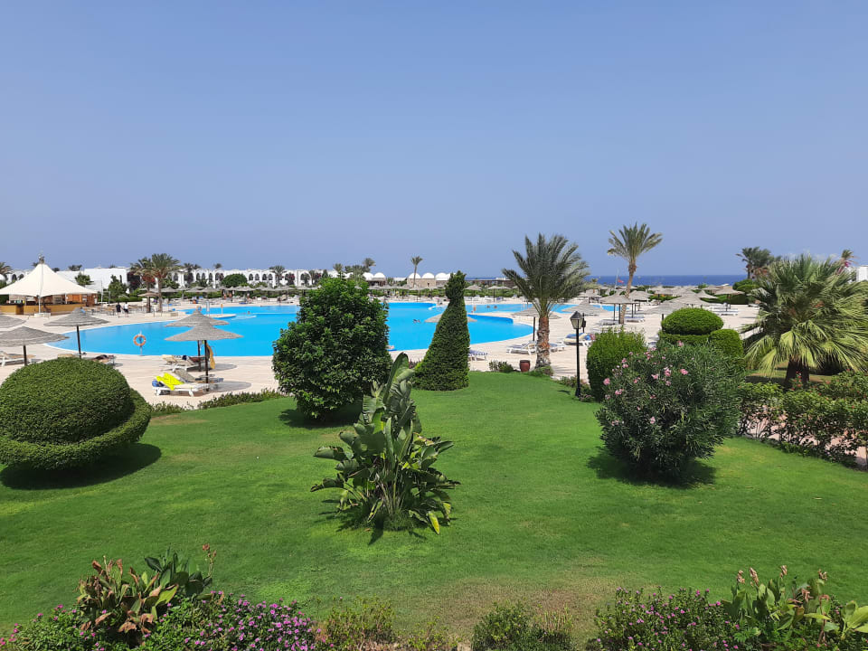 Pool Hotel Gorgonia Beach Resort