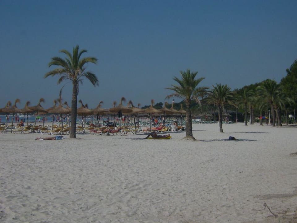 Strand direkt hinter dem Hotel VIVA Golf - Adults only 18+