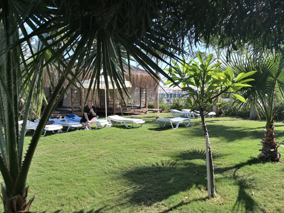 Gartenanlage Saturn Palace Resort Hotel