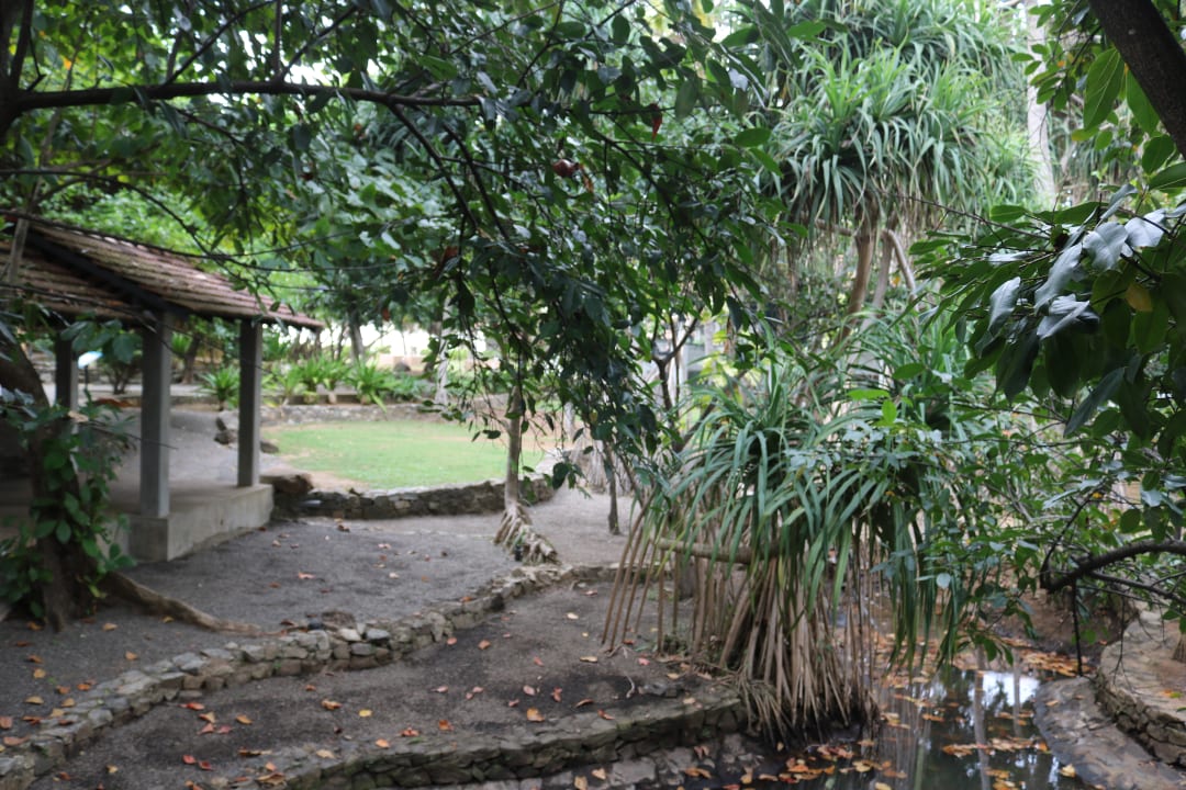 Gartenanlage Club Hotel Dolphin