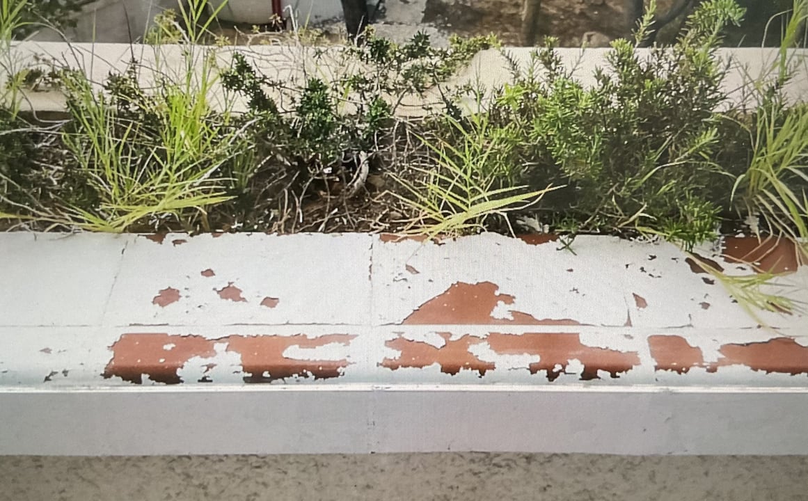 Ausblick allsun Hotel Bella Paguera