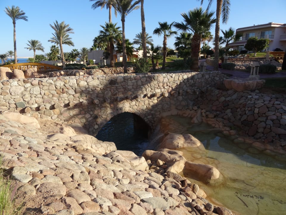 Gartenanlage Parrotel Beach Resort