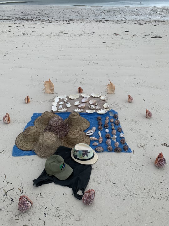 Strand Ocean Paradise Resort & Spa