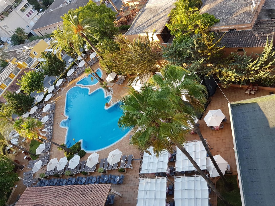 Pool  Valentin Reina Paguera