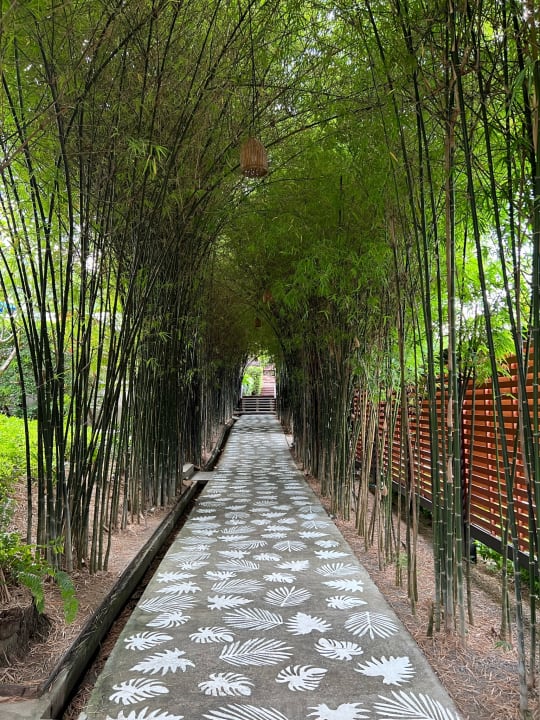 Gartenanlage SAii Koh Samui Villas (adult only 12+)