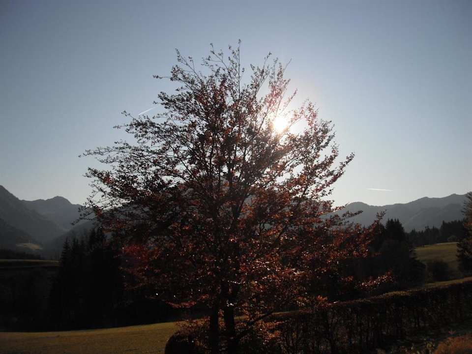 Herbst Pension Haus Niedermoser