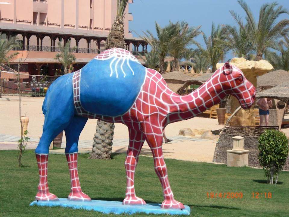 Die gibt es da in allen Farben und Formen  Pickalbatros Palace Resort