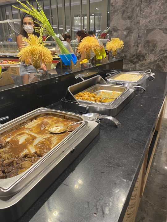 Gastro Seashell Vega