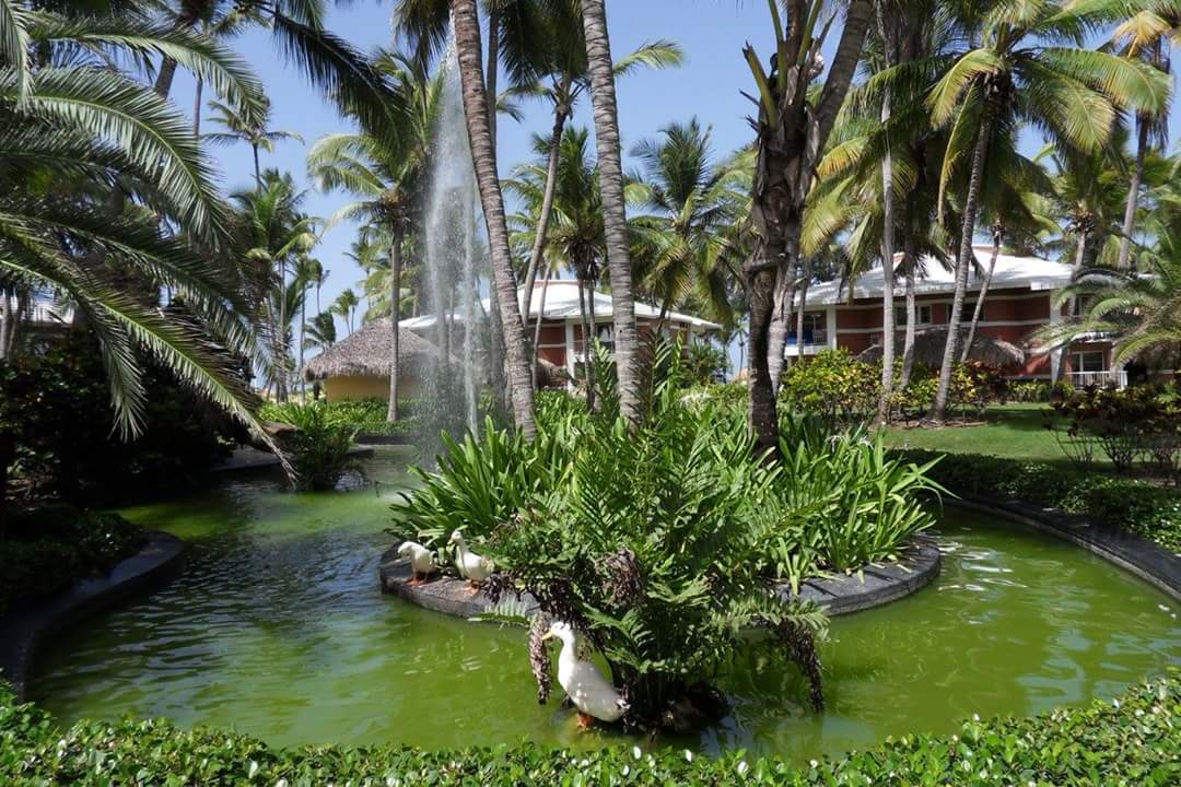 Gartenanlage Hotel Grand Palladium Palace Resort, Spa & Casino