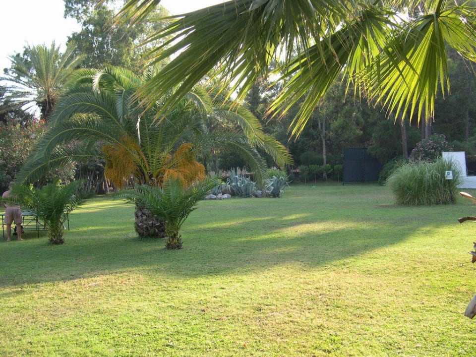 Wunderschön gepflegt TUI MAGIC LIFE Sarigerme