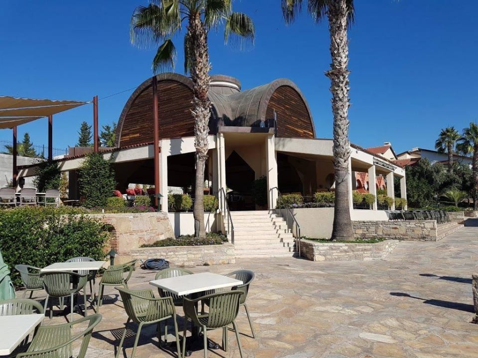 Bonsai-Bar Arum Barut Collection