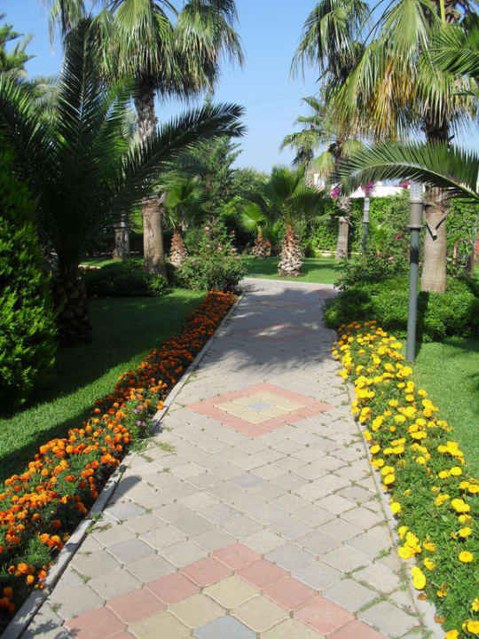 Alles grün Hotel Orfeus Park