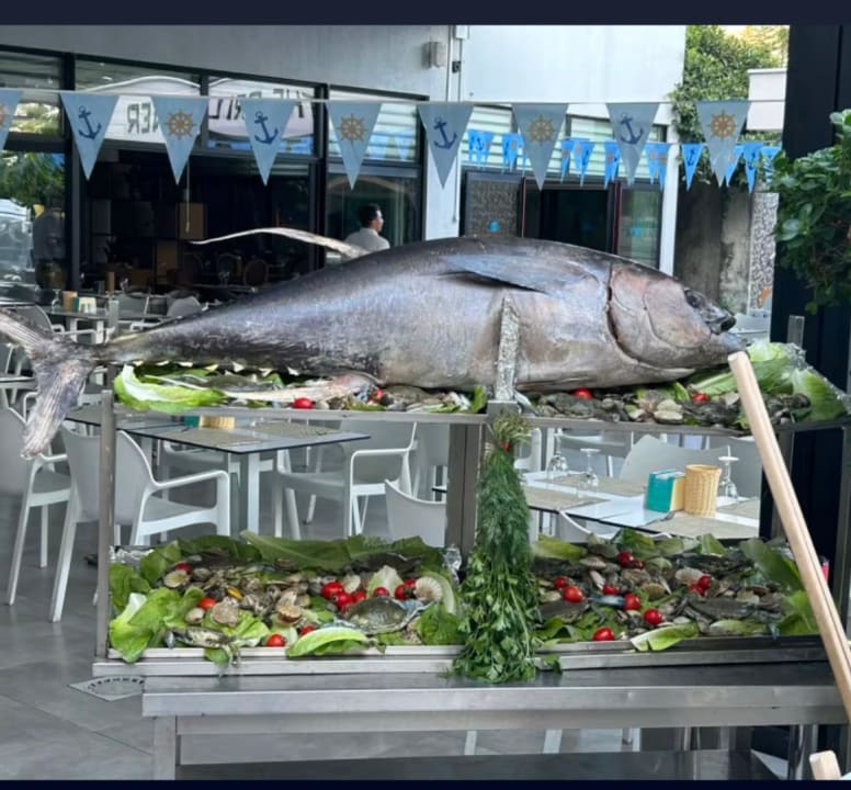 Gastro Numa Bay Exclusive Hotel