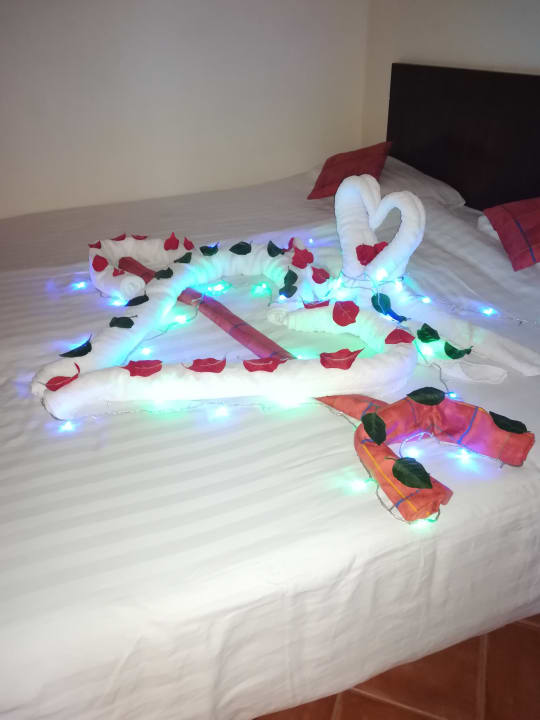 Zimmer Three Corners Sea Beach Resort