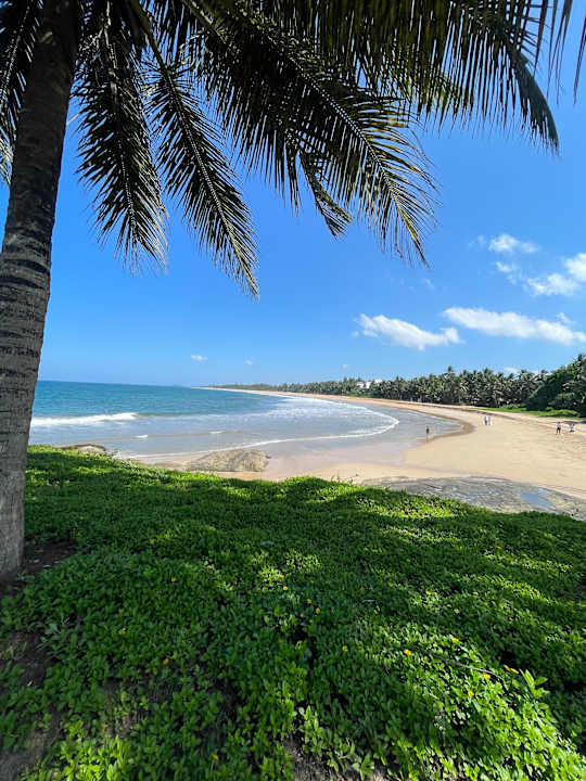 Strand Thaala Bentota