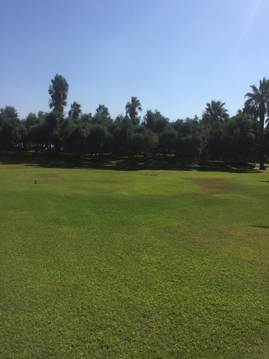 Gartenanlage Blue Waters Club