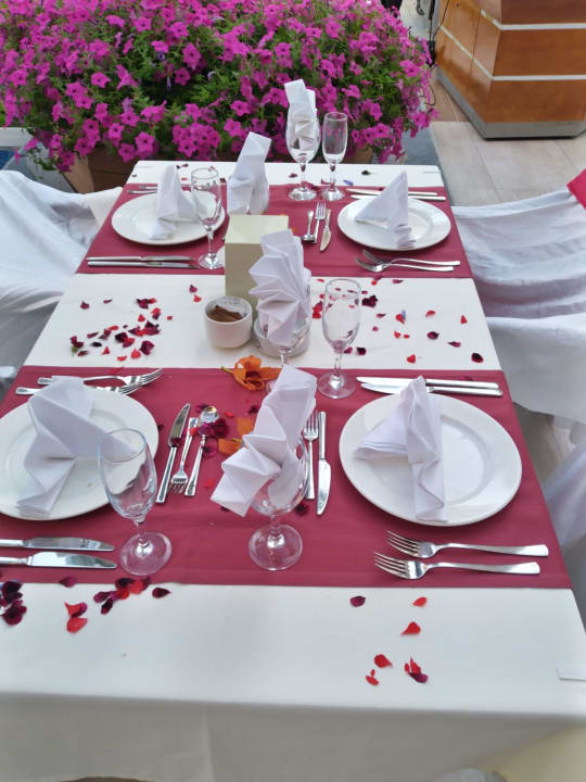 Gastro Terrace Elite Resort