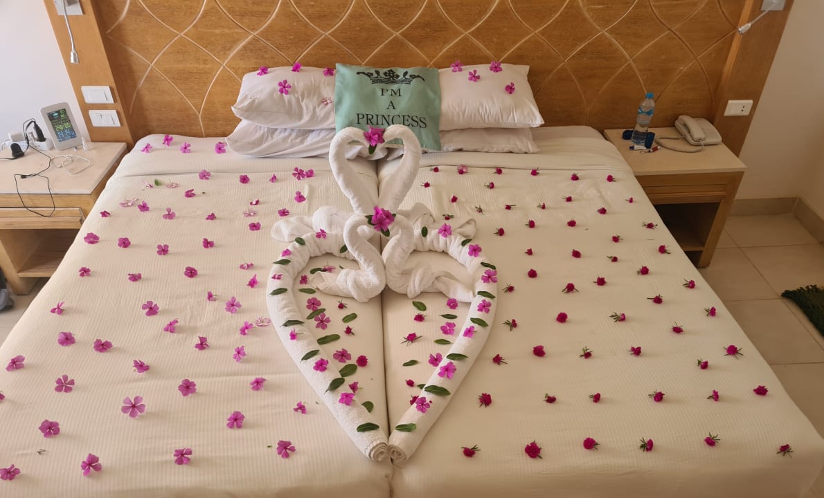 Zimmer Shams Alam Beach Resort