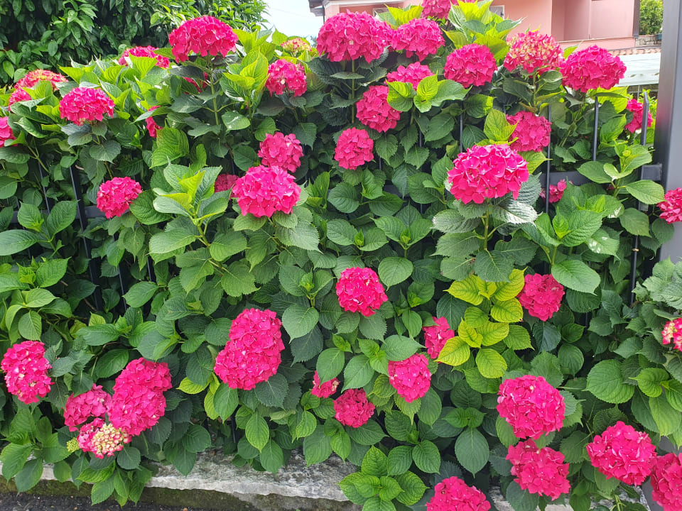 Gartenanlage Hotel Antico Monastero