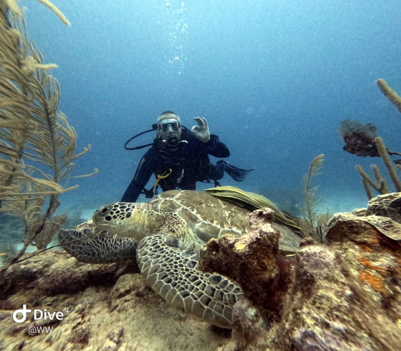 Sport & Freizeit Akumal Bay Beach & Wellness Resort
