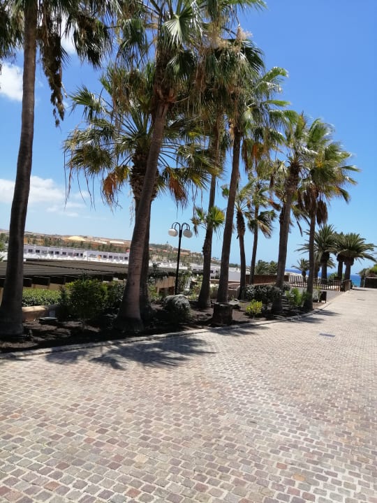 Gartenanlage allsun App.-Hotel Esquinzo Beach