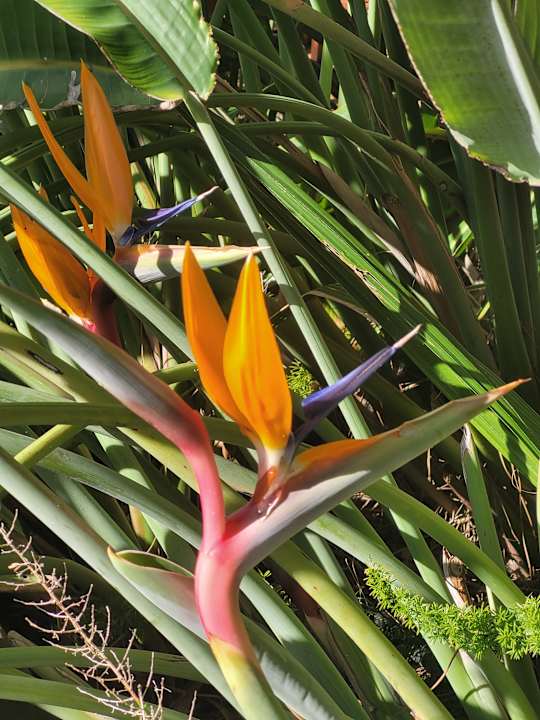 Außenansicht Arum Barut Collection