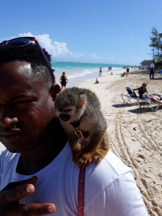 Sonstiges Grand Palladium Punta Cana Resort & Spa