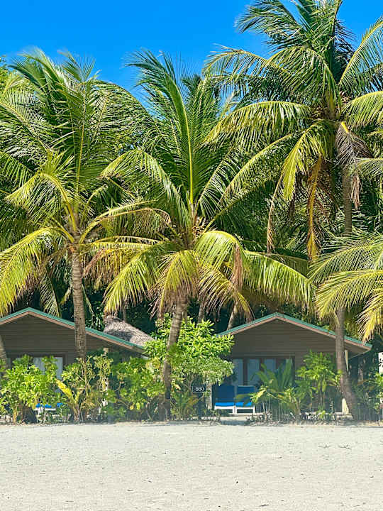 Zimmer Meeru Maldives Resort Island