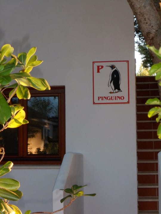 Weg zum Zimmer Playa Parc Apartments