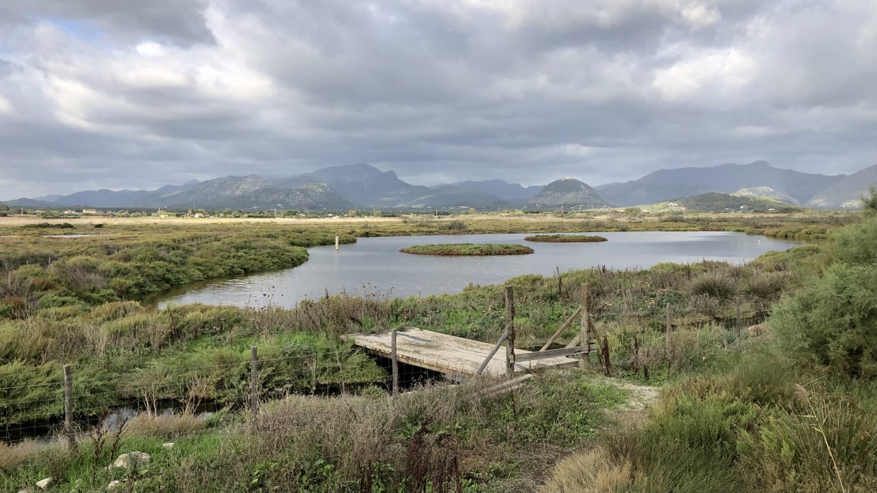 Ausblick PortBlue Club Pollentia Resort & Spa