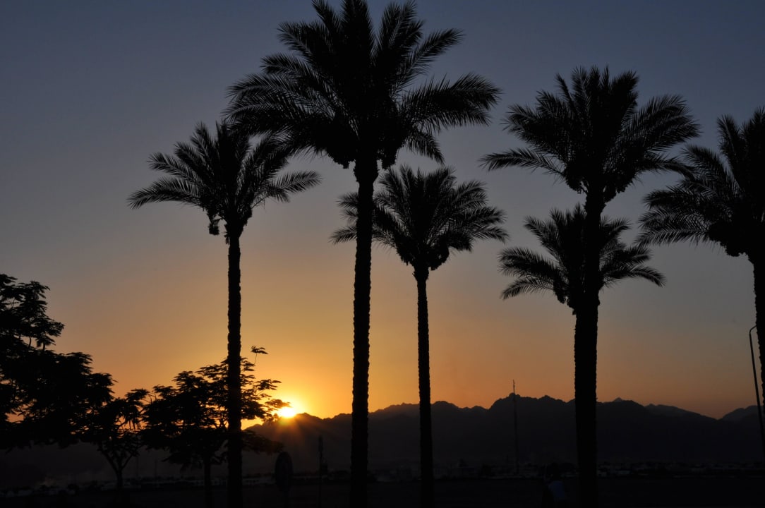 Sonnenuntergang vorm Hotel The Grand Hotel Sharm El Sheikh