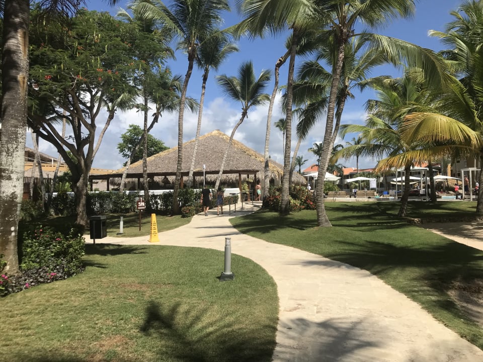 Gartenanlage Hotel Viva Dominicus Beach by Wyndham - All Inclusive Resort