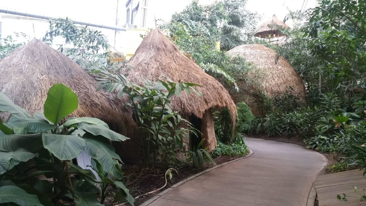 Regenwald Tropical Islands Resort