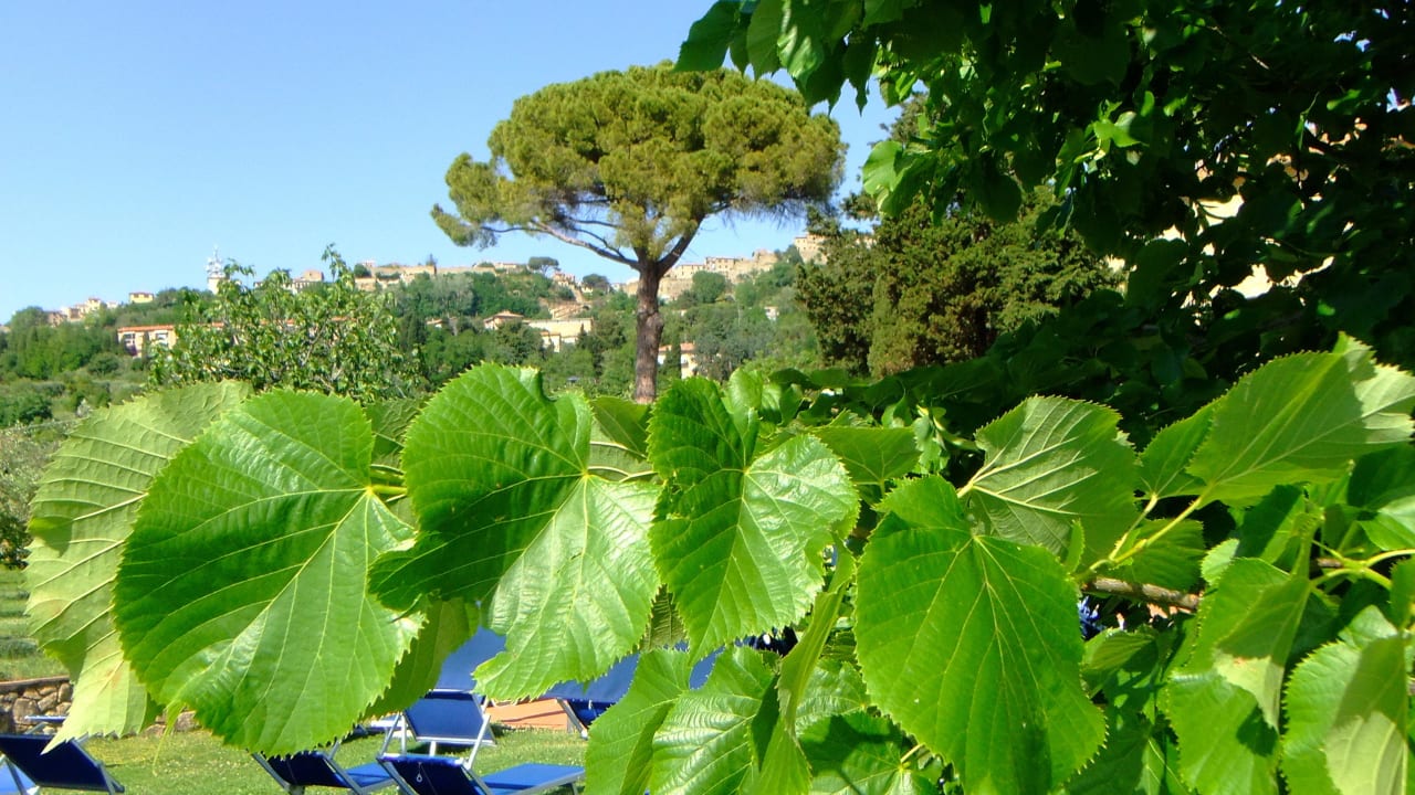 Unter Linden am Pool Villa Rioddi