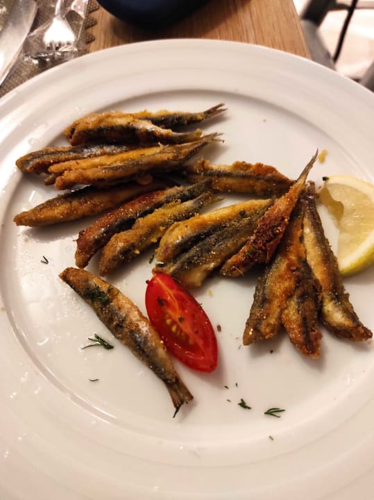 Gastro Acanthus Cennet Barut Collection