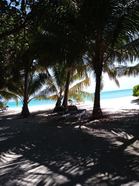 Strand Meeru Maldives Resort Island