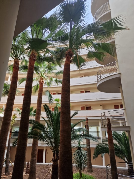 Gartenanlage allsun App.-Hotel Orient Beach