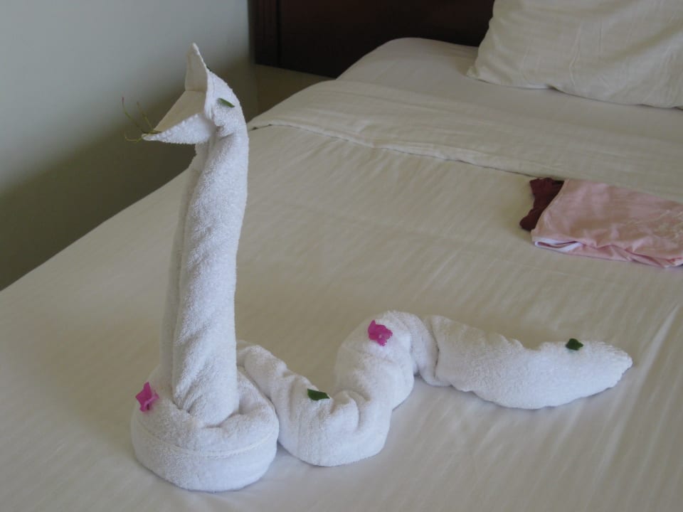 Zimmer Malikia Resort Abu Dabbab