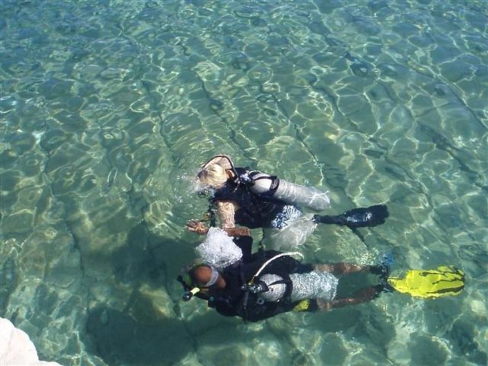 Schnuppertauchen Pickalbatros Citadel Resort