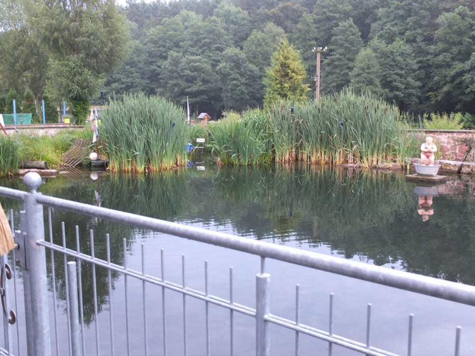 Terrasse direkt am Waser Landgasthof Hessenmühle