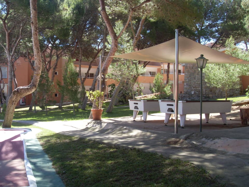 Garten / Pool Hotel Xaloc Playa