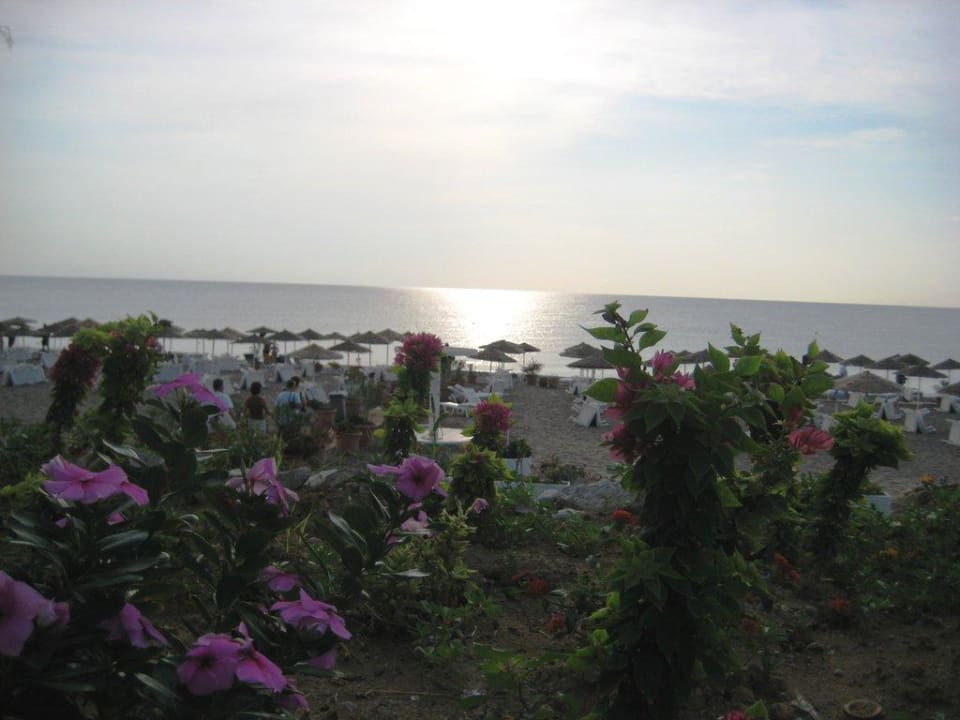 Im Gegenlicht der aufgegangenen Sonne Hotel Calypso Beach