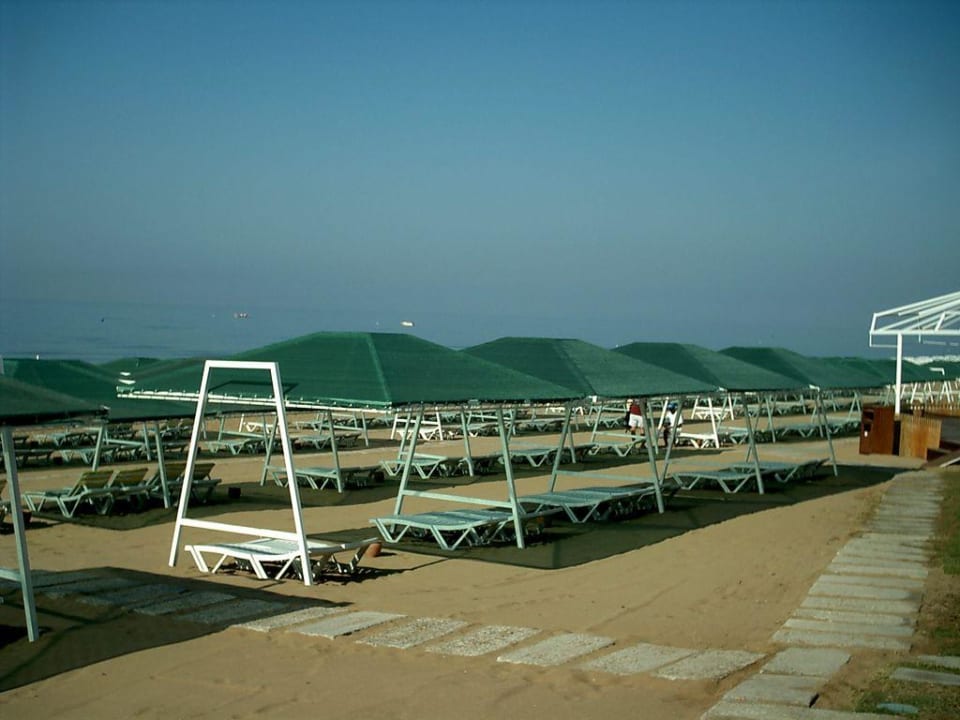 Liegen am Strand Alba Resort Hotel