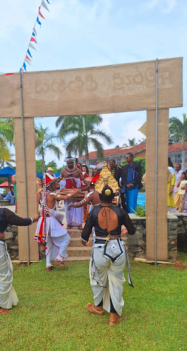 Gartenanlage The Palms