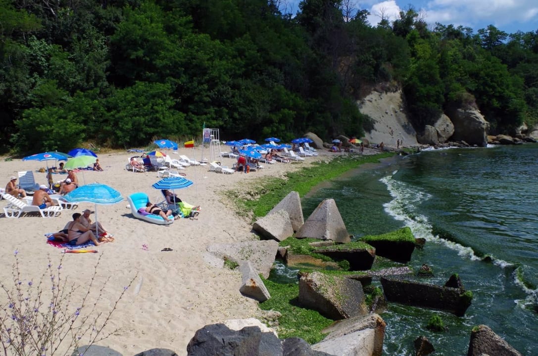 Plaża hotelowa Hotel Vemara Club