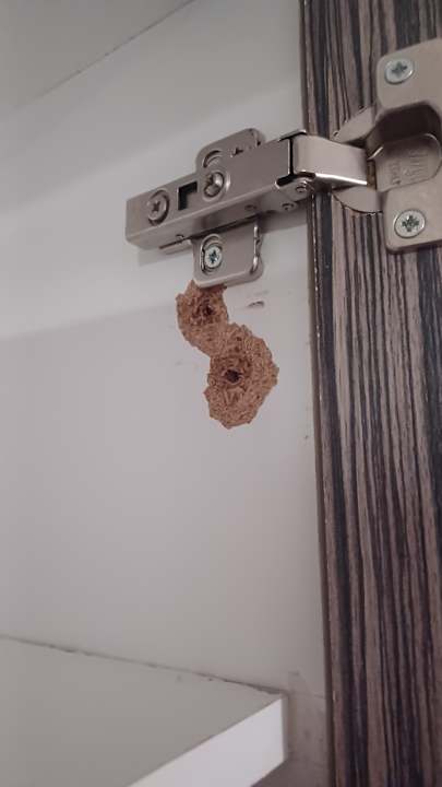 Zimmer Eurohotel Katrin Suites - Adults only