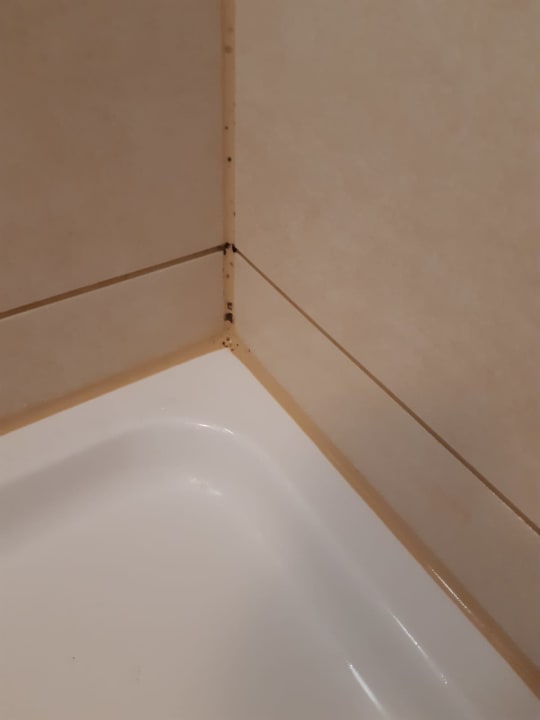 Zimmer Center Parcs Park Bostalsee