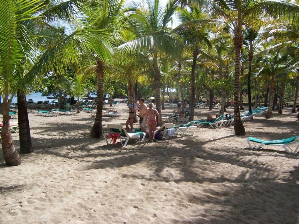 Strandabschnitt des RIU Mambo Playabachata Hotel