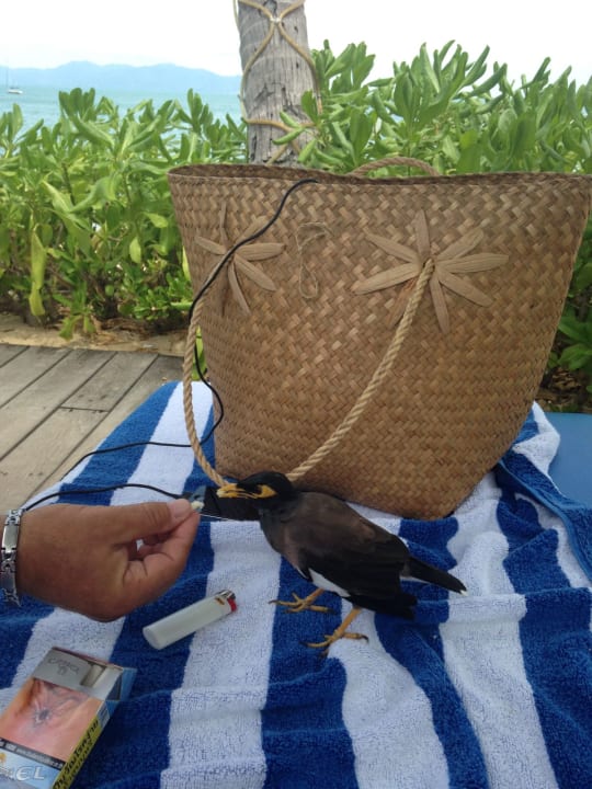 Gartenanlage Bo Phut Resort & Spa